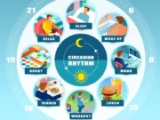 Circadian Eating Align Meal Timing with Cortisol Rhythms for Better Energy and Health