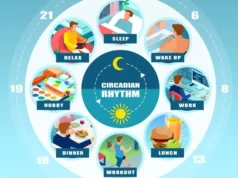 Circadian Eating Align Meal Timing with Cortisol Rhythms for Better Energy and Health